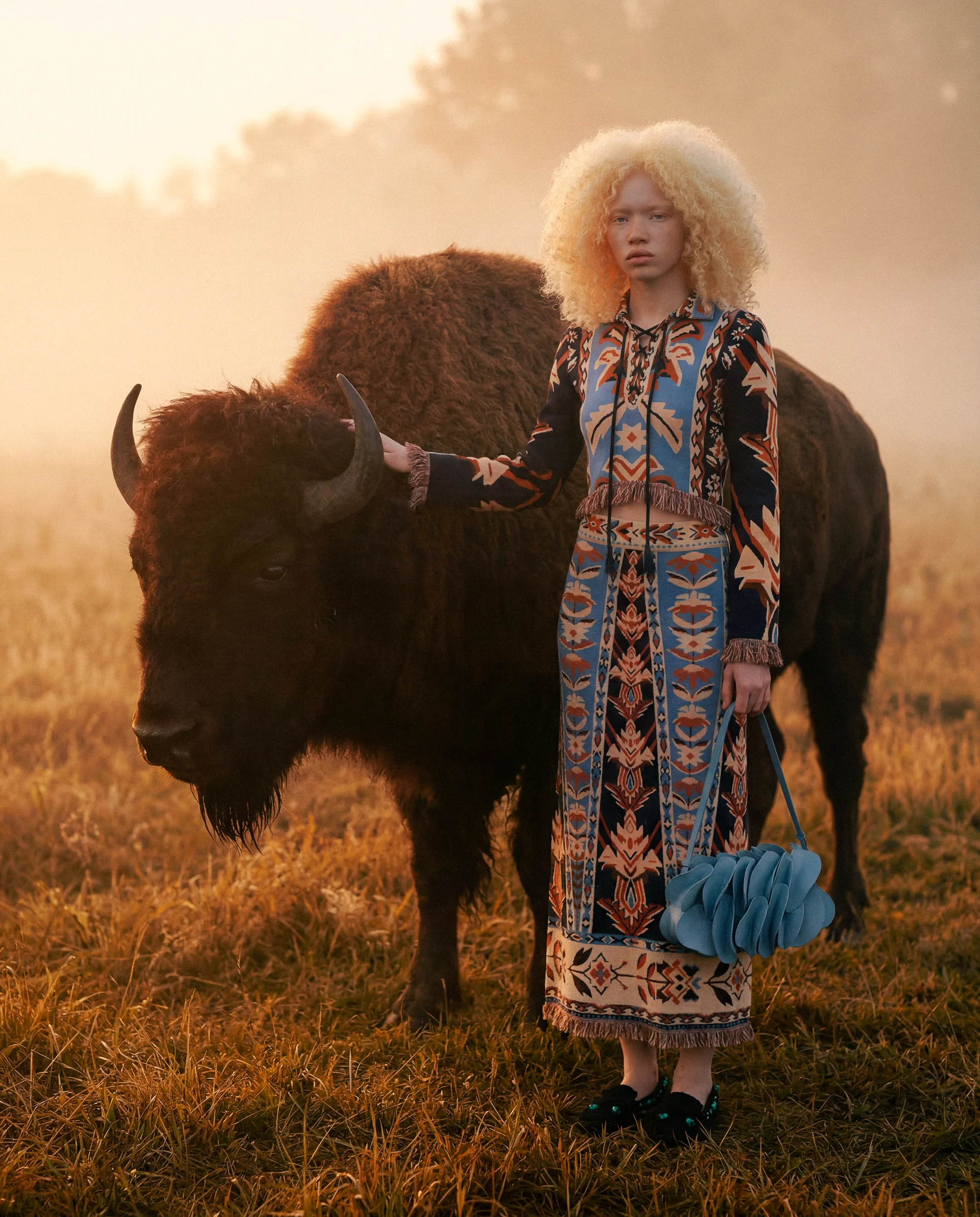 Farm Rio / Bison