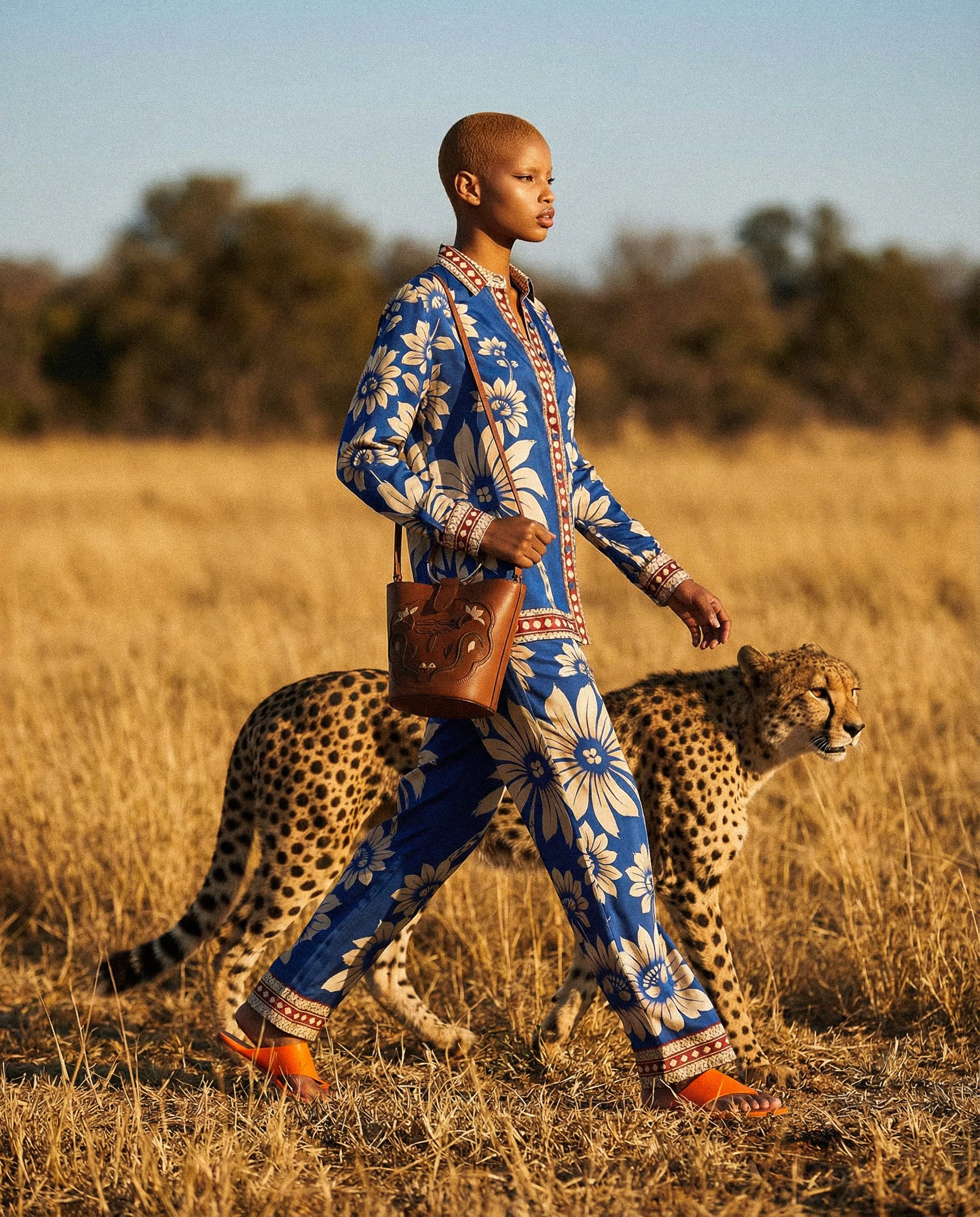 Farm Rio / Cheetah Walk
