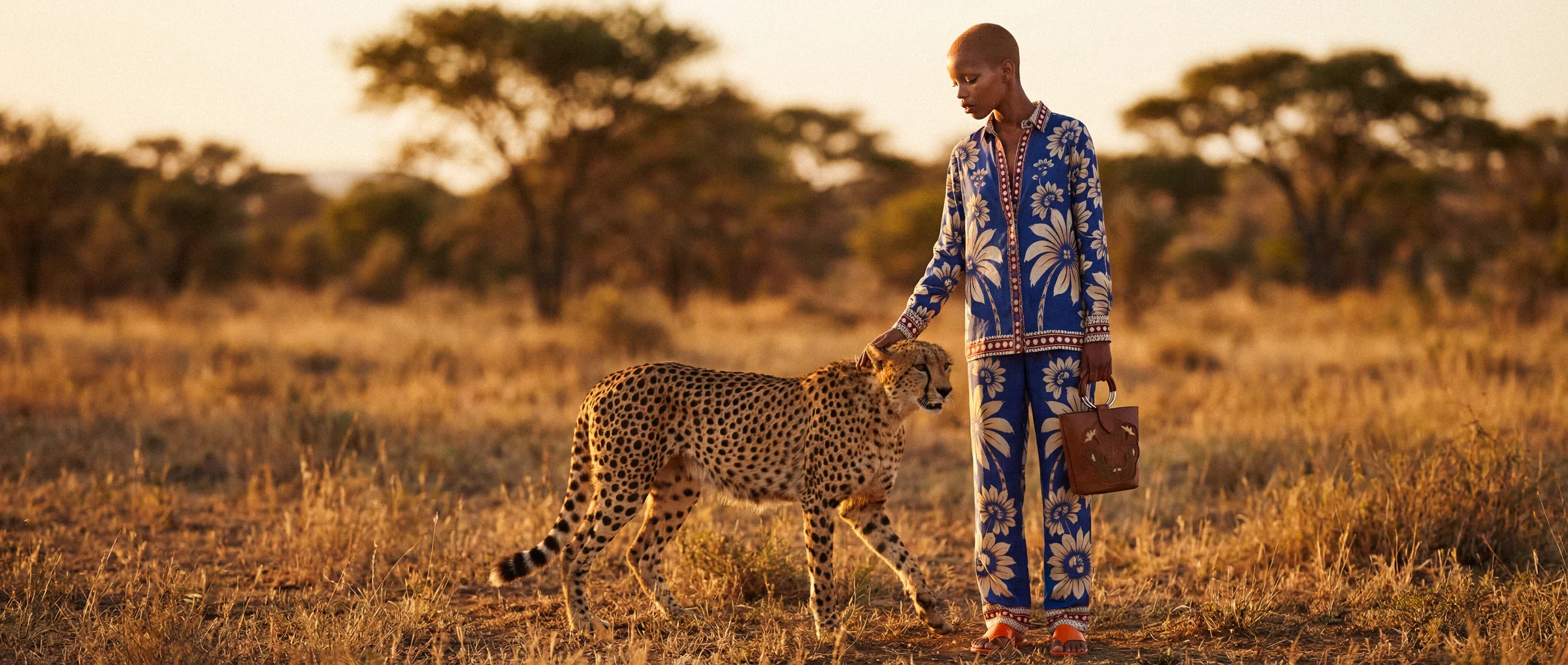 Farm Rio / Cheetah Wide